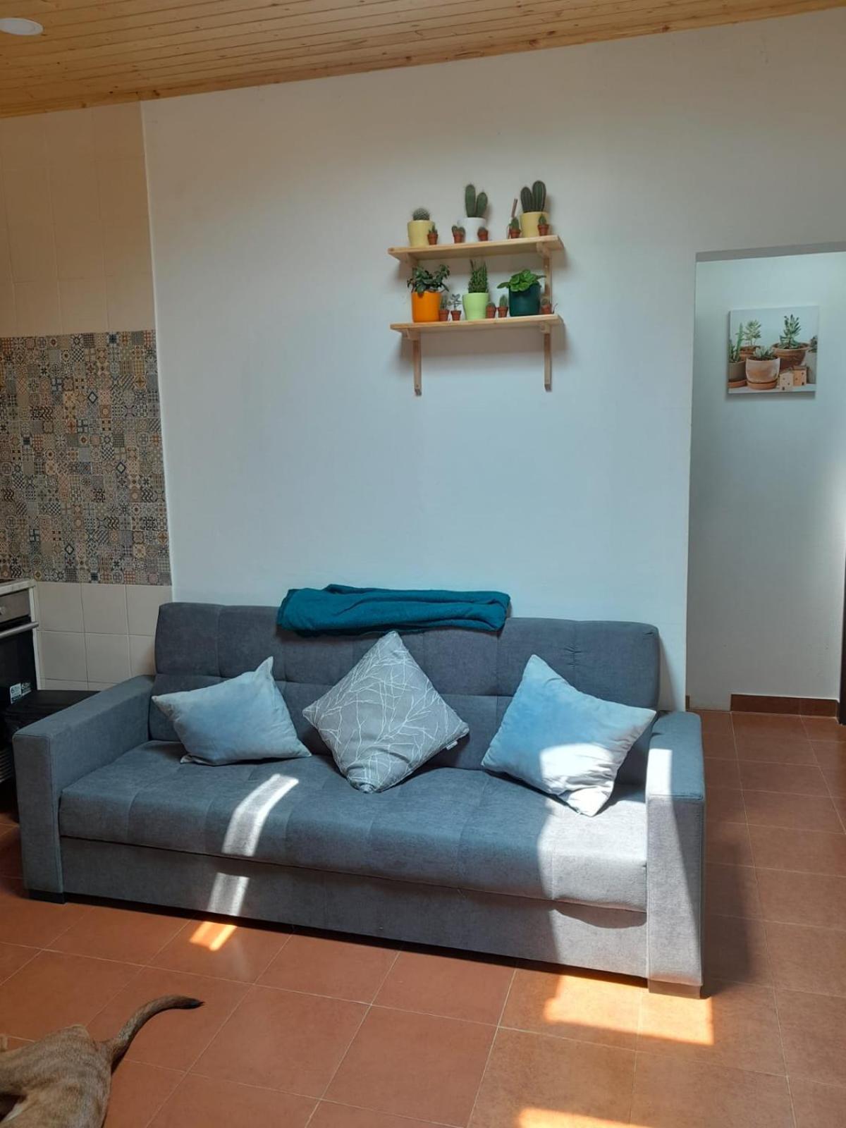 Nadadouro Eco-Country-Cottage Екстер'єр фото